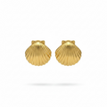 Solara Shell Earrings ✨